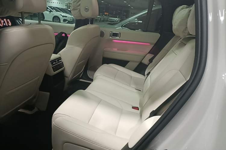 Used Li Auto L6 2024 Pro Model Left Rear Seat