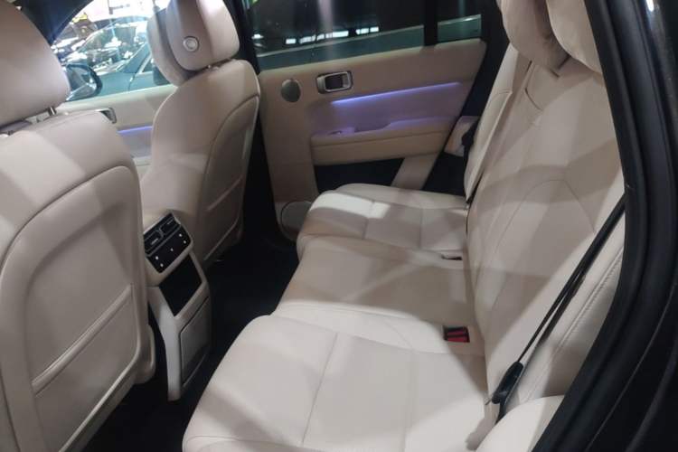 Used Li Auto L6 2024 Pro Model Left Rear Seat