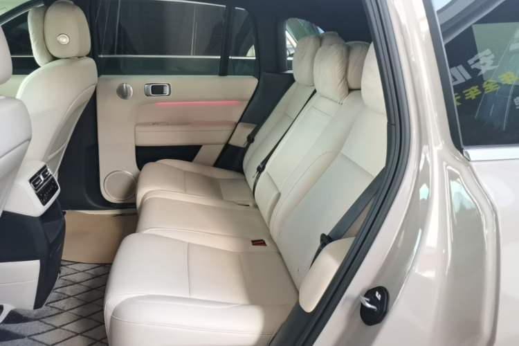 Used Li Auto L6 2024 Pro Model Left Rear Seat