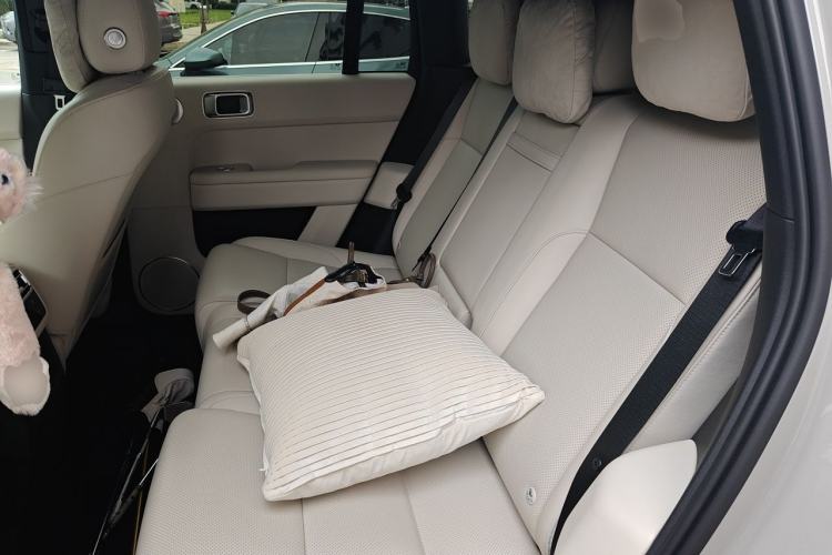Used Li Auto L6 2024 Pro Model Left Rear Seat