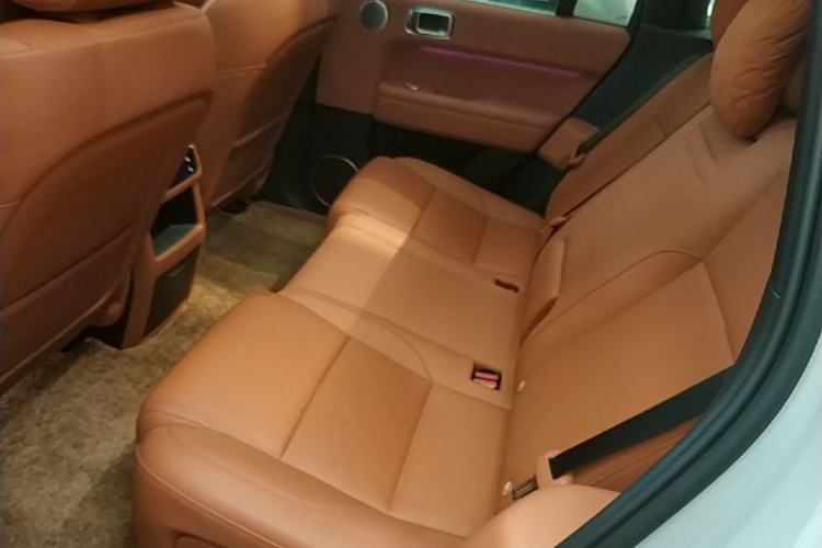 Used Li Auto L6 2024 Pro Model Left Rear Seat