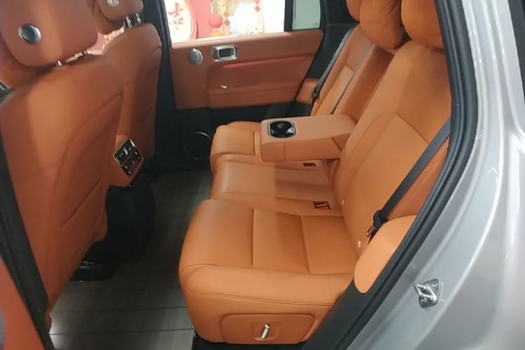 Used Li Auto L6 2024 Max Left Rear Seat