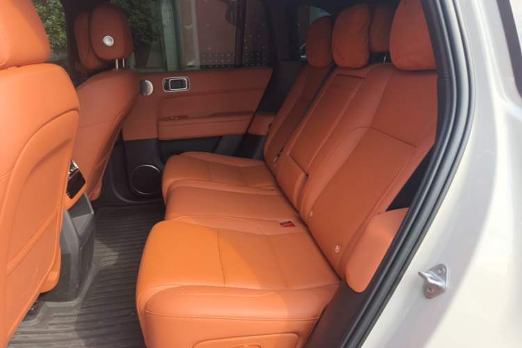 Used Li Auto L6 2024 Pro Model Left Rear Seat