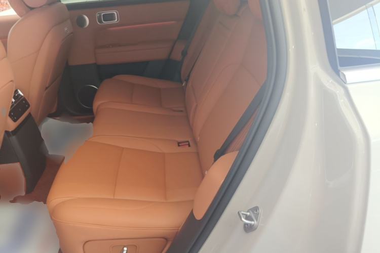 Used Li Auto L6 2024 Max Left Rear Seat