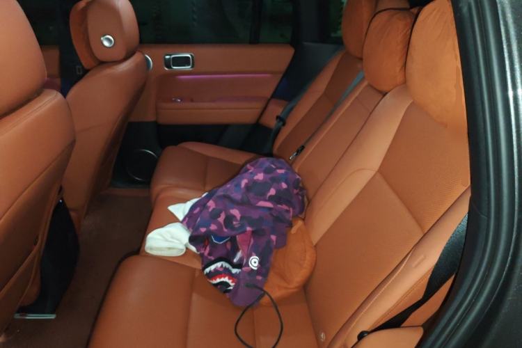 Used Li Auto L6 2024 Max Left Rear Seat