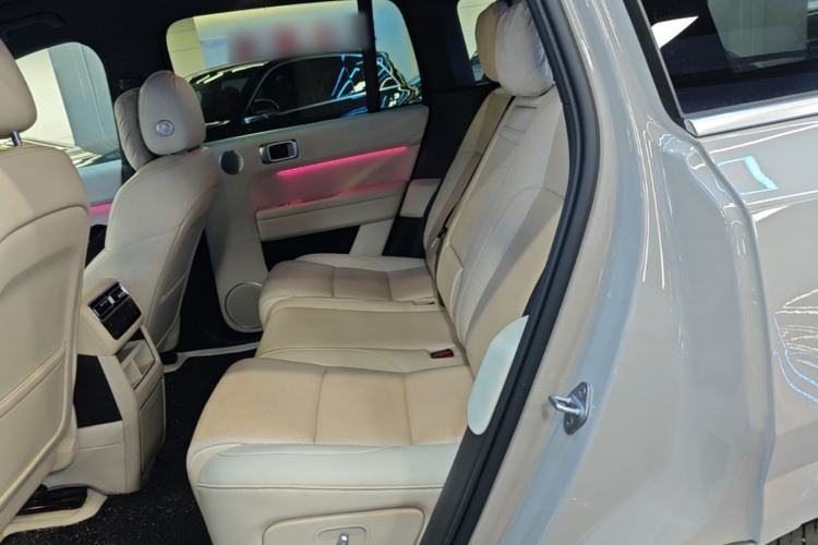Used Li Auto L6 2024 Pro Model Left Rear Seat