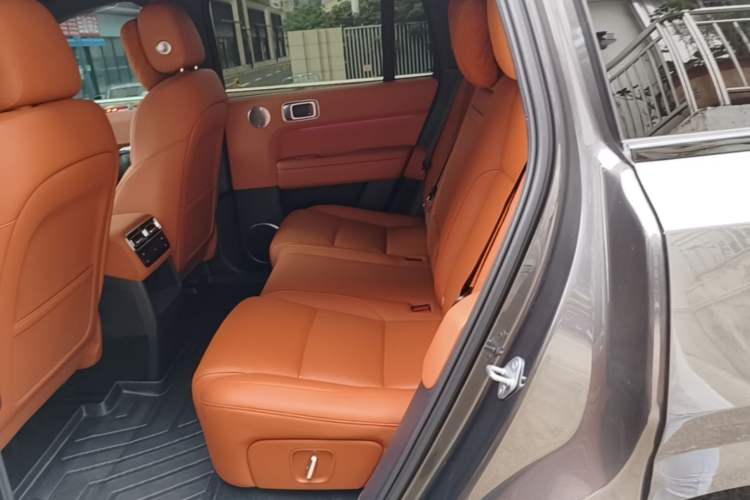 Used Li Auto L6 2024 Pro Model Left Rear Seat