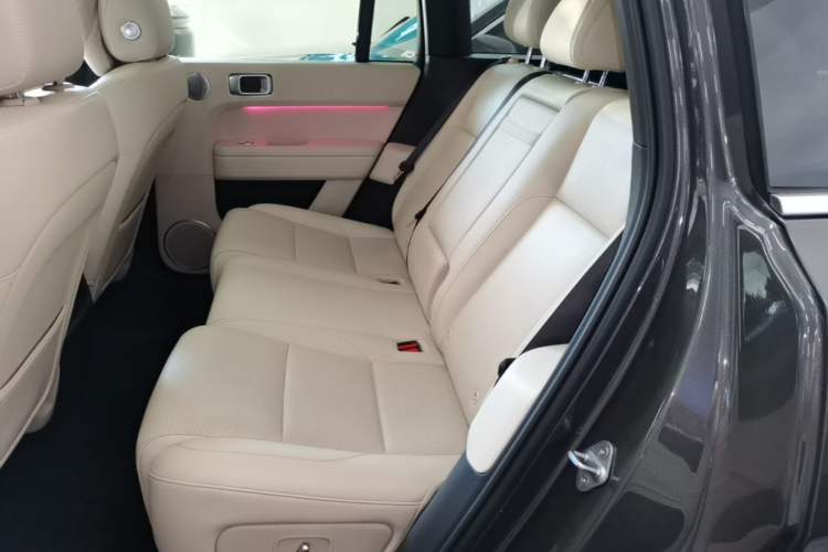 Used Li Auto L6 2024 Pro Model Left Rear Seat