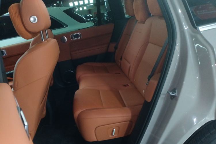 Used Li Auto L6 2024 Max Left Rear Seat