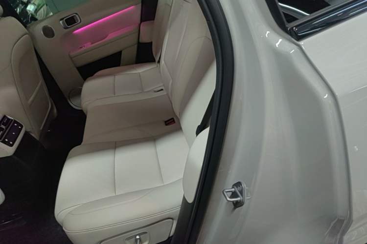 Used Li Auto L6 2024 Pro Model Left Rear Seat