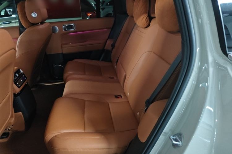 Used Li Auto L6 2024 Max Left Rear Seat