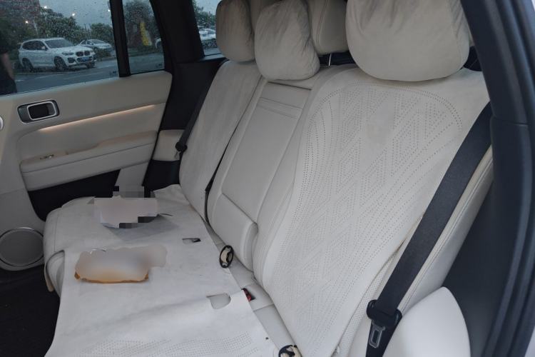 Used Li Auto L6 2024 Pro Model Left Rear Seat
