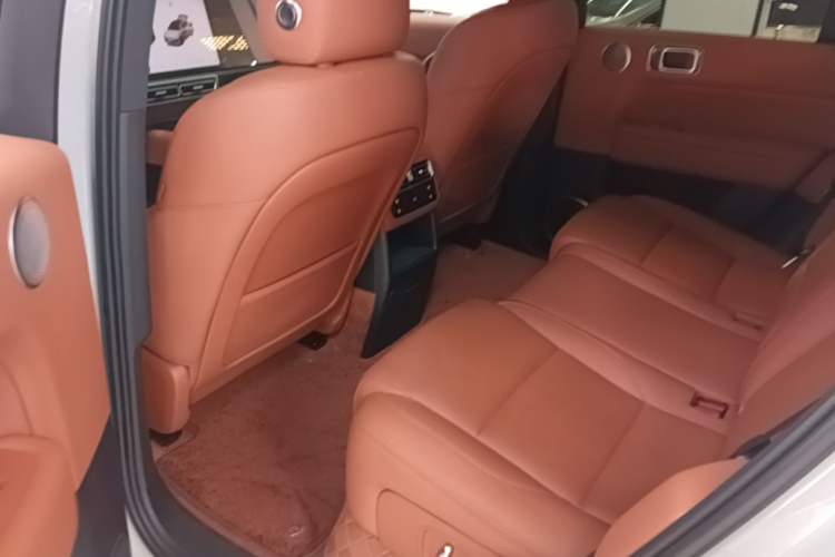 Used Li Auto L6 2024 Pro Model Left Rear Seat
