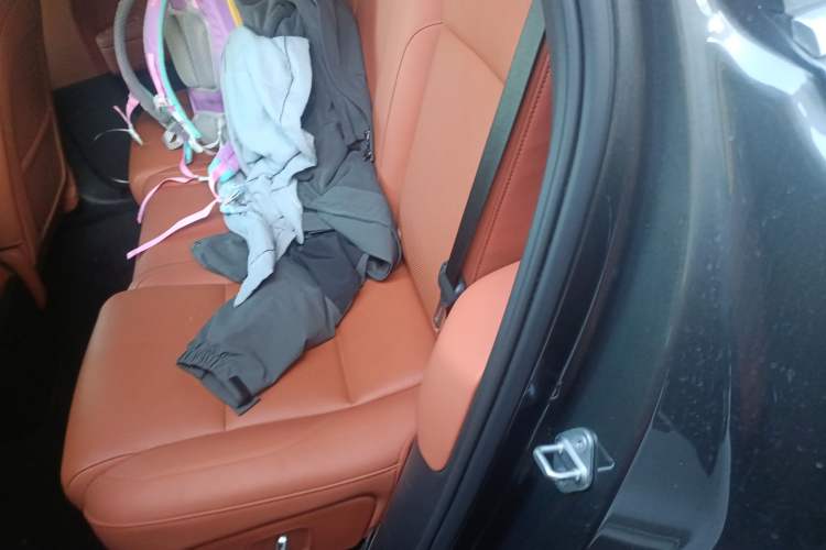 Used Li Auto L6 2024 Pro Model Left Rear Seat
