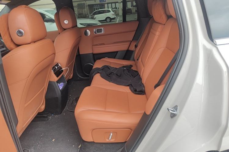 Used Li Auto L6 2024 Pro Model Left Rear Seat