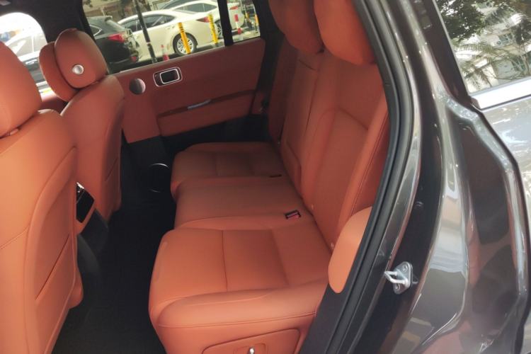 Used Li Auto L6 2024 Pro Model Left Rear Seat