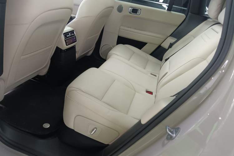 Used Li Auto L6 2024 Max Left Rear Seat