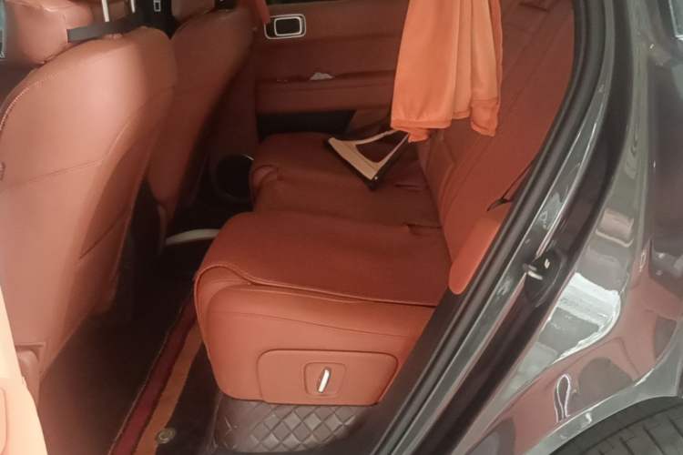 Used Li Auto L6 2024 Pro Model Left Rear Seat