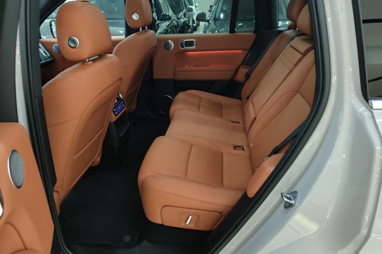 Used Li Auto L6 2024 Pro Model Left Rear Seat