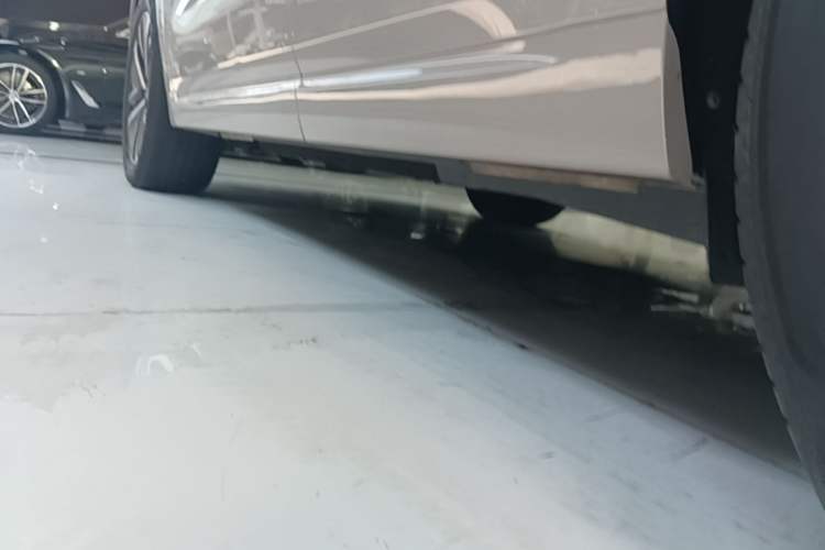 Used Li Auto L6 2024 Pro Model Left Side Sill