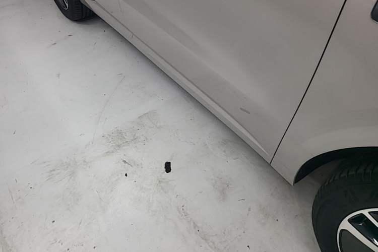Used Li Auto L6 2024 Max Right Side Sill