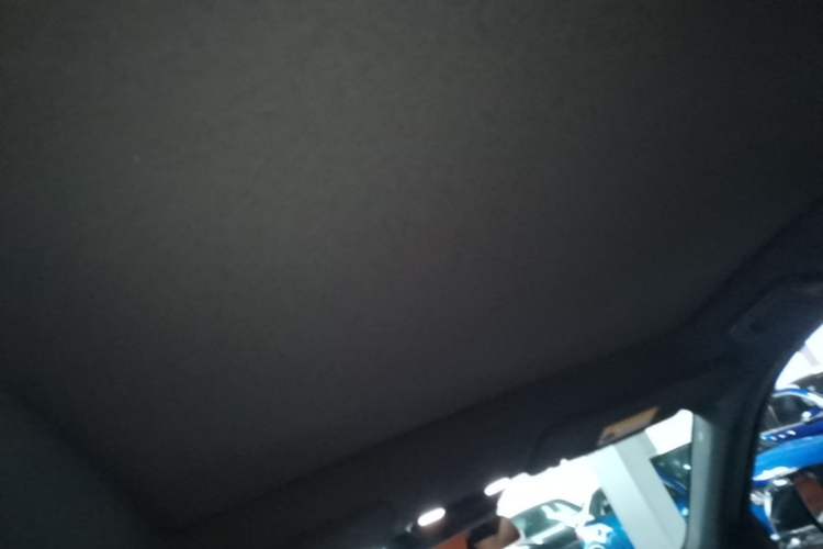 Used Li Auto L6 2024 Pro Model Headliner