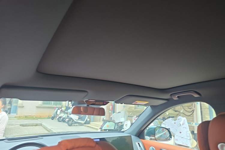 Used Li Auto L6 2024 Pro Model Headliner