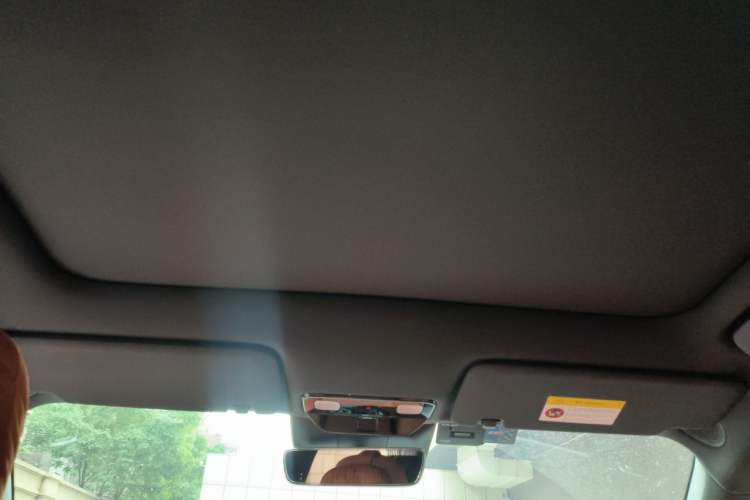 Used Li Auto L6 2024 Pro Model Headliner