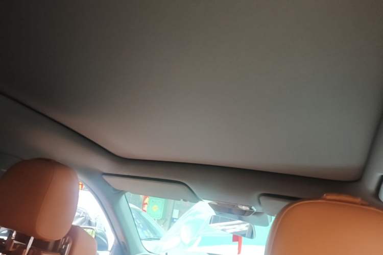 Used Li Auto L6 2024 Pro Model Headliner