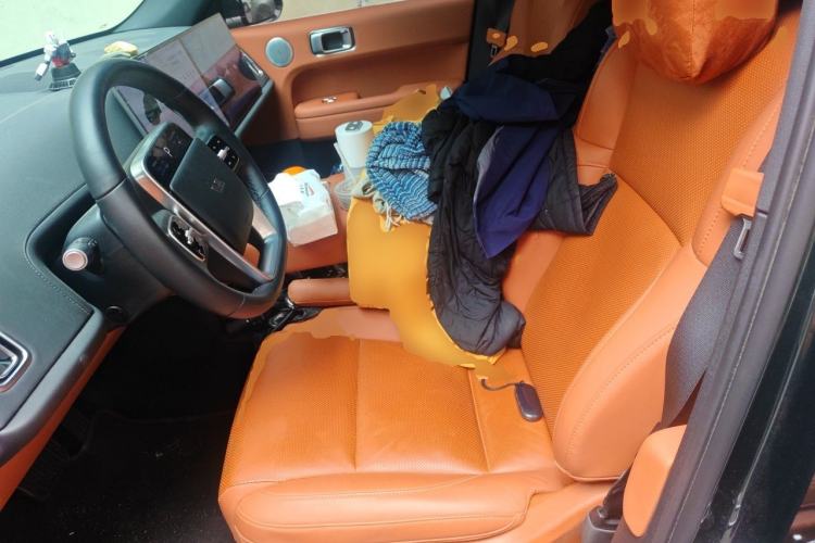 Used Li Auto L6 2024 Pro Model Left Front Seat