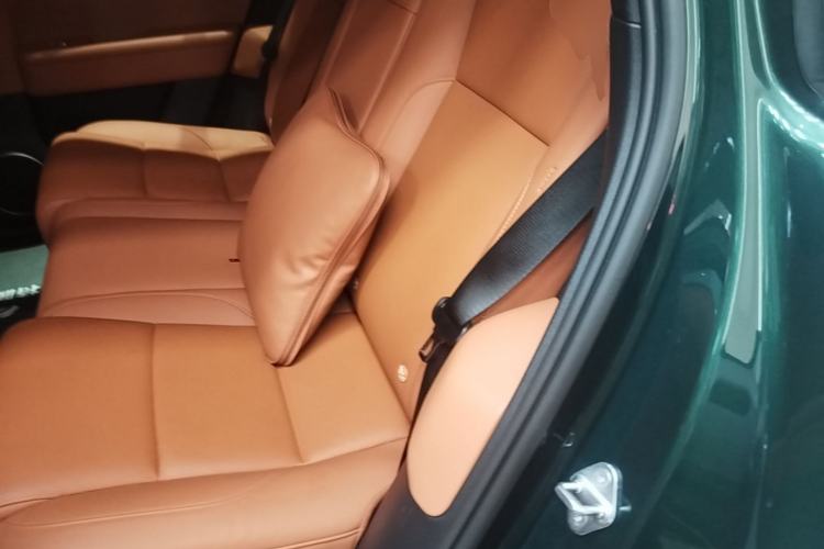 Used Li Auto L6 2024 Pro Model Left Rear Seat