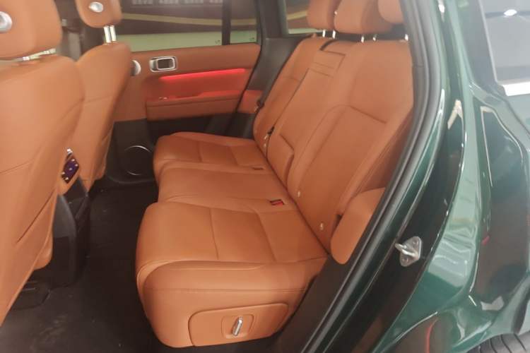 Used Li Auto L6 2024 Pro Model Left Rear Seat