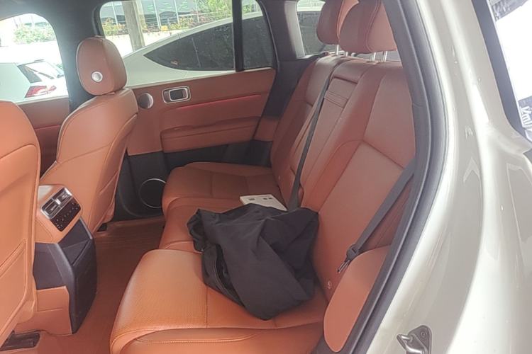 Used Li Auto L6 2024 Pro Model Left Rear Seat