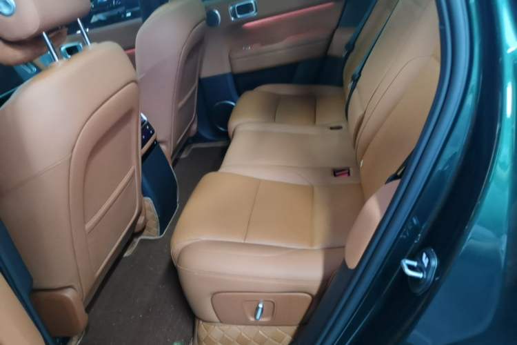 Used Li Auto L6 2024 Max Left Rear Seat