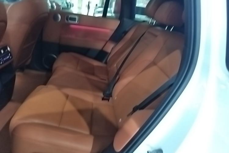 Used Li Auto L6 2024 Pro Model Left Rear Seat