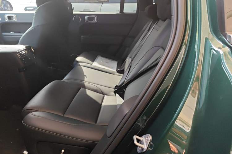Used Li Auto L6 2024 Max Left Rear Seat