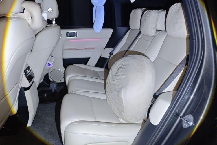 Used Li Auto L6 2024 Max Left Rear Seat