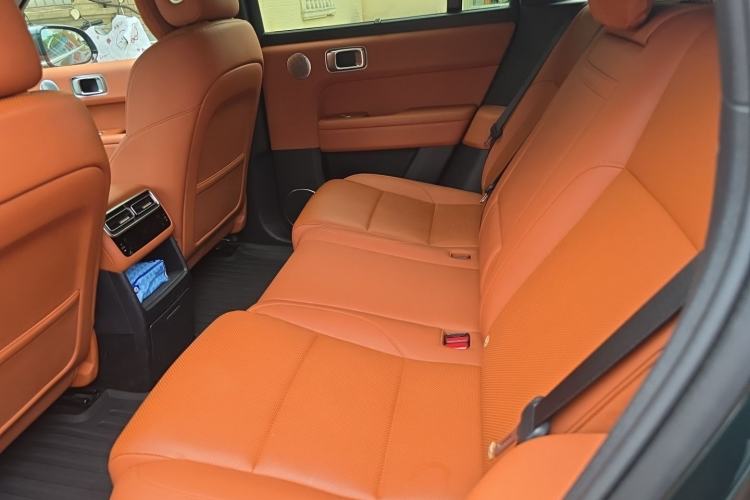 Used Li Auto L6 2024 Pro Model Left Rear Seat