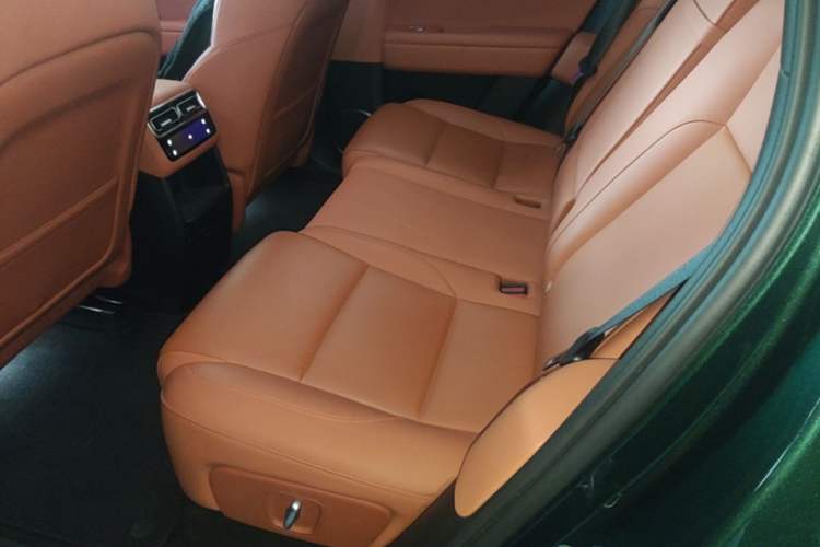 Used Li Auto L6 2024 Pro Model Left Rear Seat