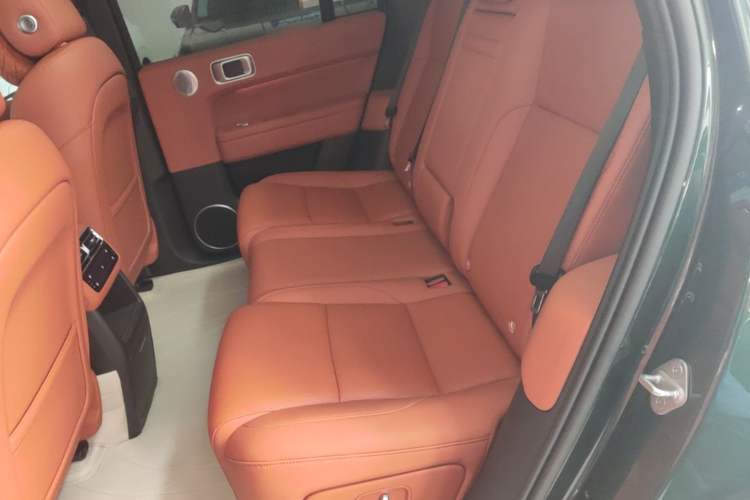 Used Li Auto L6 2024 Pro Model Left Rear Seat