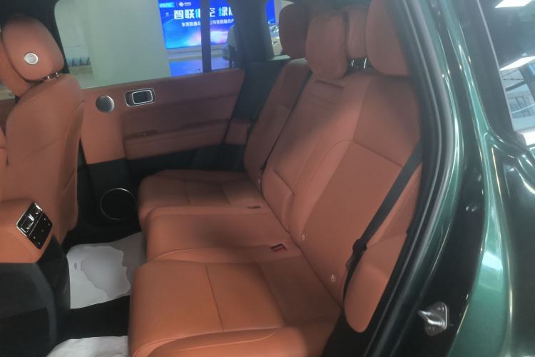 Used Li Auto L6 2024 Pro Model Left Rear Seat