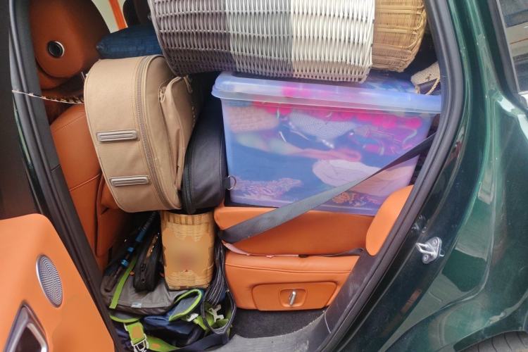 Used Li Auto L6 2024 Pro Model Left Rear Seat