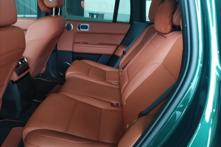 Used Li Auto L6 2024 Max Left Rear Seat