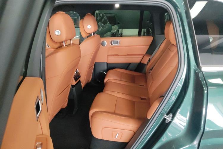 Used Li Auto L6 2024 Max Left Rear Seat