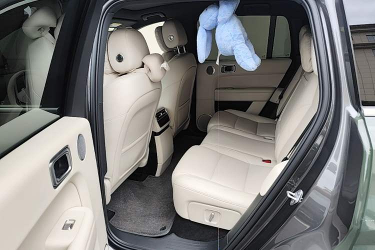 Used Li Auto L6 2024 Max Left Rear Seat
