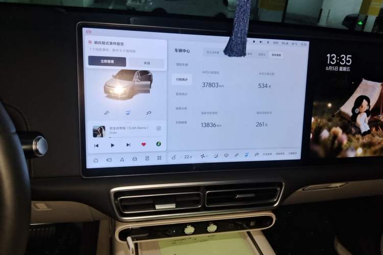 Used Li Auto L6 2024 Max Audio And AC Panel