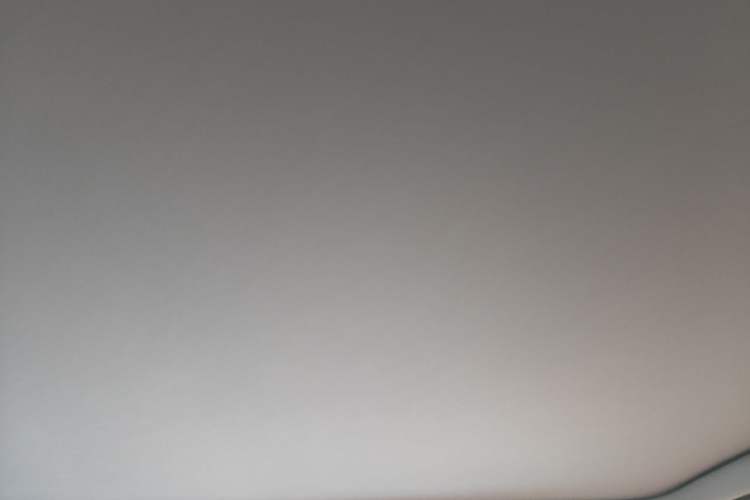 Used Li Auto L6 2024 Pro Model Headliner