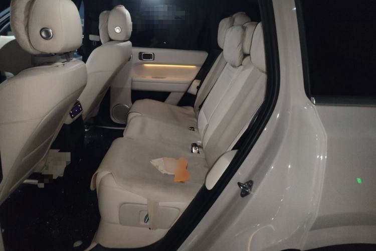 Used Li Auto L6 2024 Pro Model Left Rear Seat