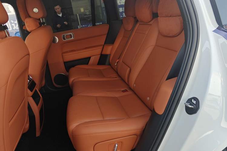 Used Li Auto L6 2024 Pro Model Left Rear Seat