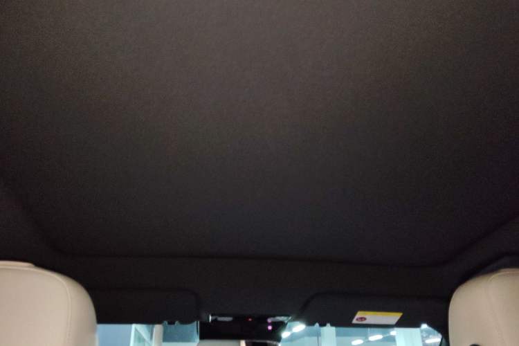 Used Li Auto L6 2024 Pro Model Headliner